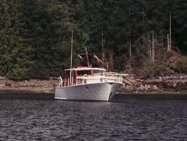 Magnolia1