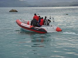 AMF 580 QRV (quick response vessel) RIB
