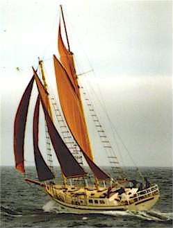 Hout Bay 50